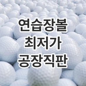 판매율1위 신제품 300개 레인지볼 연습장 골프공 스크린볼 새골프공 고퀄리티