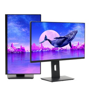 인터픽셀 4K UHD IPS USB C타입 모니터, 68.5cm, IPU2710(일반)