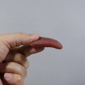 The Tongue(가짜혀 늘어나는 혓바닥), 일반형, 일반형