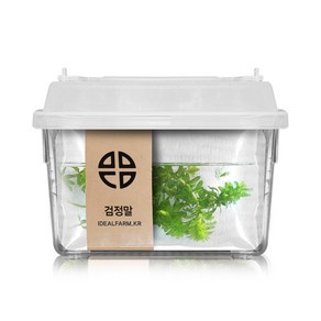 [과학쌤이오] 검정말 관찰세트 자연 초등교과 수생식물