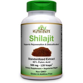 Ayu Nutients 실라짓 추출물 60% 풀빅산 Shilajit 실라지트 500mg 120캡슐, 1개, 120정