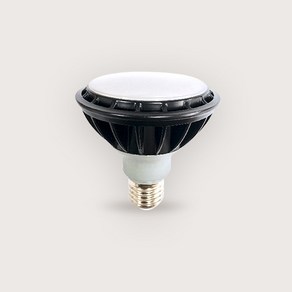 더엘이디 데이온 LED PAR30 램프 15W (확산형 다이캐스팅 KS인증), 1개, 주광색