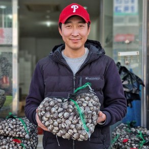 전남 벌교 최상급 특품 새꼬막 참꼬막, 1박스, 당일수확 최상급 새꼬막 3kg