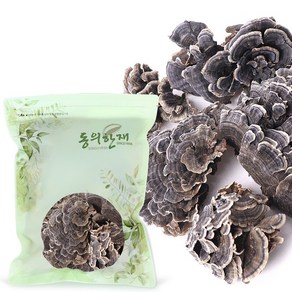 동의한재 자연산 국산 운지버섯 구름버섯, 500g, 1개