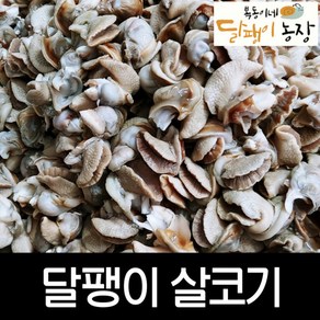 달팽이살코기(냉동) 500g - 달팽이농장 전용상품, 1개