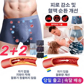 2+2 남성 마사지 자석 치료 팬티 전립선 치료 팬티 남자 기능성 팬티 자석-증대(BIG)