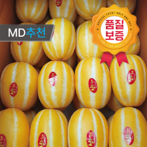 [레스토랑납품] 산지직송 성주참외 로얄과 못난이가정용 1kg 2kg 5kg 10kg, 1박스, 참외 가정용(로얄과) 1kg