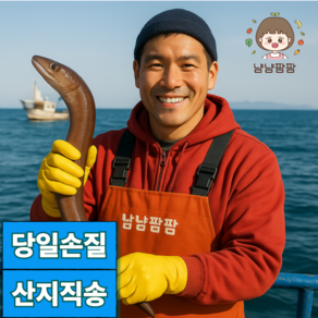 [산지직송]냠냠팜팜 힘이불끈 손질 바다장어, 1박스, 1kg