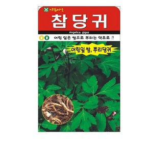 SN월드 씨앗 민속특수씨앗 약초 곰취 냉이 와송 삼채 더덕 도라지 당귀 잔디, 1개