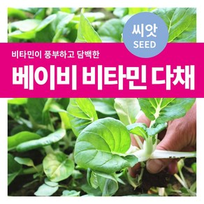 마이플랜트 샐러드 채소 베이비 비타민다채 씨앗, 3000립, 1개