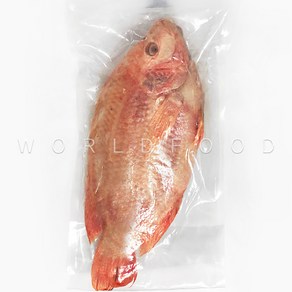 베트남 냉동 레드 틸라피아 1마리 RED TILAPIA CA DIEU HONG, 1개, 600g up