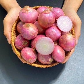 수작업 선별 아삭아삭 맛있는 샬롯 모충 미니양파 Shallot, 중국 샬롯 모충 1kg, 1개