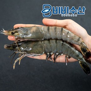 [KT알파쇼핑]블랙타이거새우 20미(500g)