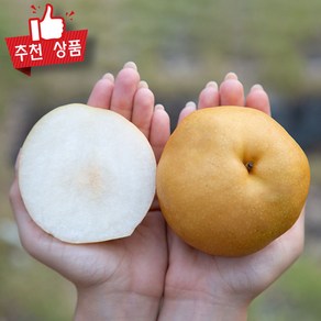 농협상품 신고배 가정용 상주배 나주배 고당도 햇배 생과, 1개, 가정용(실속형) x 5kg