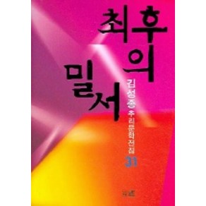 최후의 밀서 (김성종 추리문학전집 31)