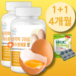 [사은품 종근당 젤리]순수한줌 난각막 가수분해물 추출물 각막 eggshell 에그쉘 구아검 nem 넴 냄 저분자 물 콜라겐 분말 가루 절 골 식약청 HACCP 해썸 효능 추천 인증, 2개, 60정