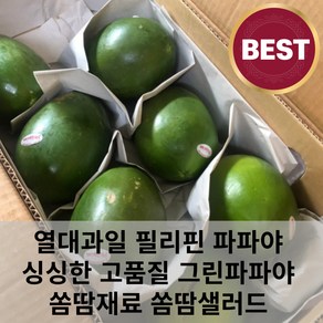 필리핀 그린파파야 1kg 2kg 3kg 5kg 파파야 쏨땀 쏨땀샐러드 싱싱한 고품질 생파파야 수입과일 열대과일