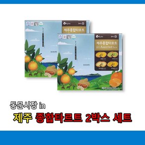 제주 종합타르트 2박스set, 2개, 315g