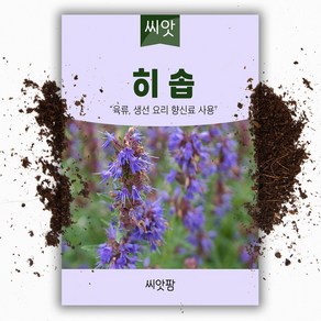 씨앗팜 허브 히솝 씨앗 (200립)