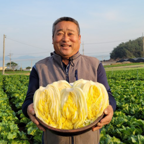 해남 절임배추 20kg 절인배추