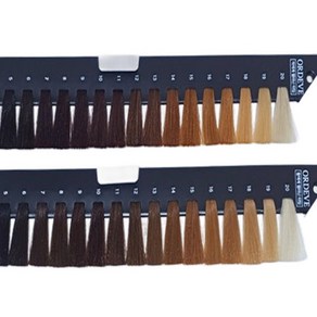 밀본염색 레벨차트 올디브 레벨차트(정품), 1개