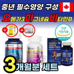 캐나다 오마비 세트 알티지 맥스 울트라 Rtg 오메가3 1100 mg 알티지 오메가3 토코페롤 3중 배합 비타민D 마그네슘 400 비타민B 컴플렉스 에너지 포르테 정, 오마비 3개월분 x 1세트, 1개, 90정