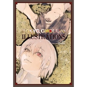 Tokyo Ghoul:Re Illustations: Zakki, Viz Media, English, 9781974717422