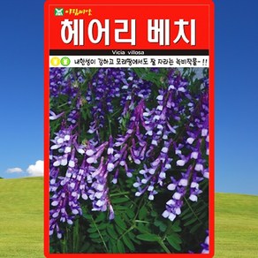 아람종묘 헤어리베치 씨앗 20g 덩굴성 녹비작물 종자, 1개