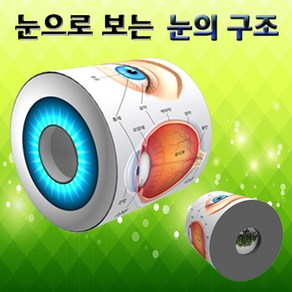 눈으로 보는 눈의 구조(1인용) KSF