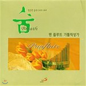 [CD] 김정민 - 숨: 팬 플루트 가톨릭성가 연주집