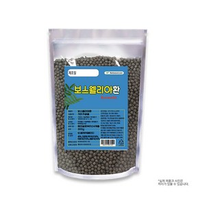 보스웰리아환 300g (001101)