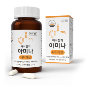 배석철의 아미나 고용량 비타민B3 나이아신아마이드 500mg, 1개, 100정