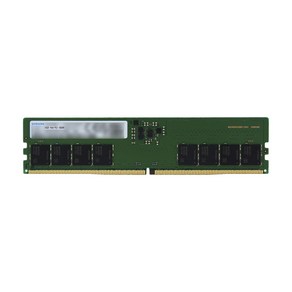 삼성전자 삼성전자 DDR5-5600 (16GB), 1개