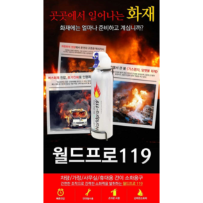 스프레이 소화기 휴대용 가정용 차량용 소화기 긴급 소화기 에어로졸, 1개, 실버, 255ml