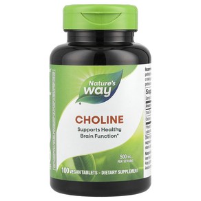 네이처스웨이 Choline 500mg 비건 100정, 1개