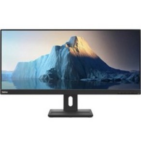 레노버 WFHD 21:9 IPS 99%sRGB 틸트 스위블 안티글레어 내장스피커 모니터, 73cm, E29w-20