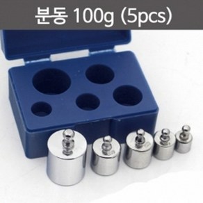 분동 100g (5pcs) KTS