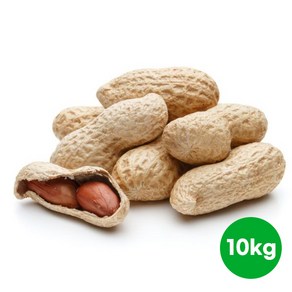 벌크/햇 피땅콩 10kg/부럼, 벌크 피땅콩 10kg, 1개