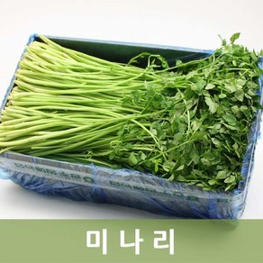 두리반농산 미나리 나물 거습꺼리 탕재료