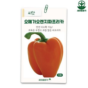 다농 파프리카씨앗 10립 주황색 오메가오렌지 종자, 1개