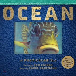 Ocean: A Photicula Book, Wokman Pub Co