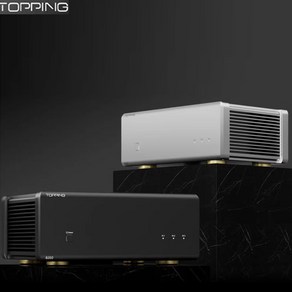 [ xc샵 ] TOPPING 토핑 B200 모노 파워 앰프 MONO PURE POWER AMP B200 모노채널 포함, B200-실버