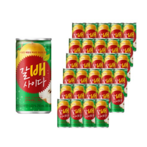 갈배사이다, 210ml, 90개