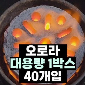 [에코카보닝 대용량 40개입 오로라] 캠핑용 바베큐 구이용 야자숯 대용량 오로라 1박스 40개세트, 대용량 1박스 (40개입), 40개