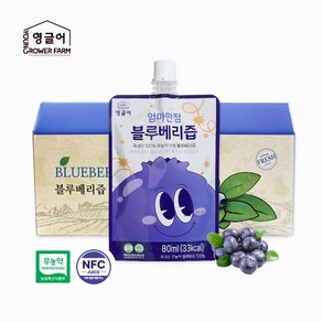 [영글어농장_급식납품] 국내산 무첨가 100% 블루베리즙 80ml NFC착즙공법, 1개, 2.4L