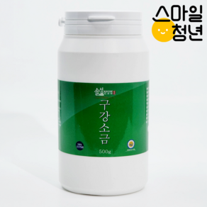 솔섬식품 신안 천일염으로 만든 송염 양치소금, 2개, 500g