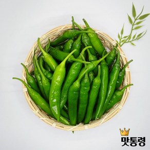 맛통령 국내산 청양고추, 1개, 당일경매 신선한 청양고추 1kg