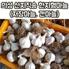 산지직송 의성마늘 한지형마늘 저장마늘 육쪽마늘 3kg 하 중 상 특 왕특, 3kg_하, 1박스