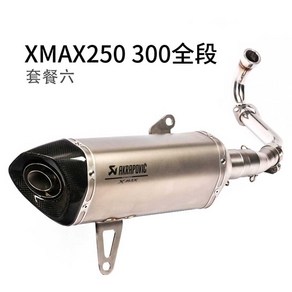 XMAX250 xmax300 아크라포빅 머플러 중국산 튜닝 마후라, F, 1개