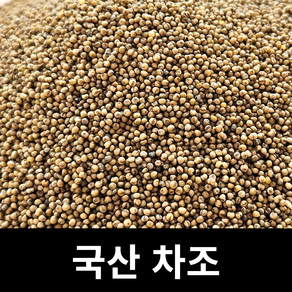 아람뜰 신선 개별포장 국산 고품질 차조 100g, 1개